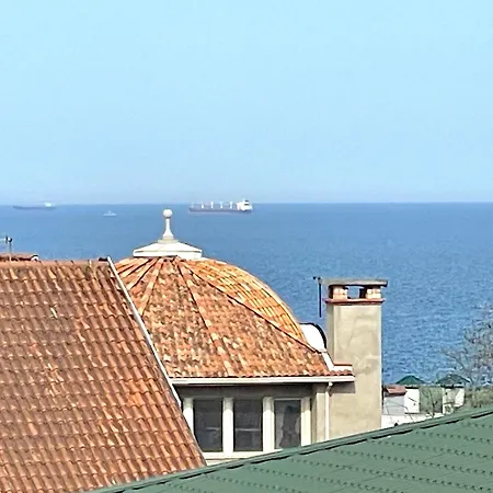 гнездо у моря
